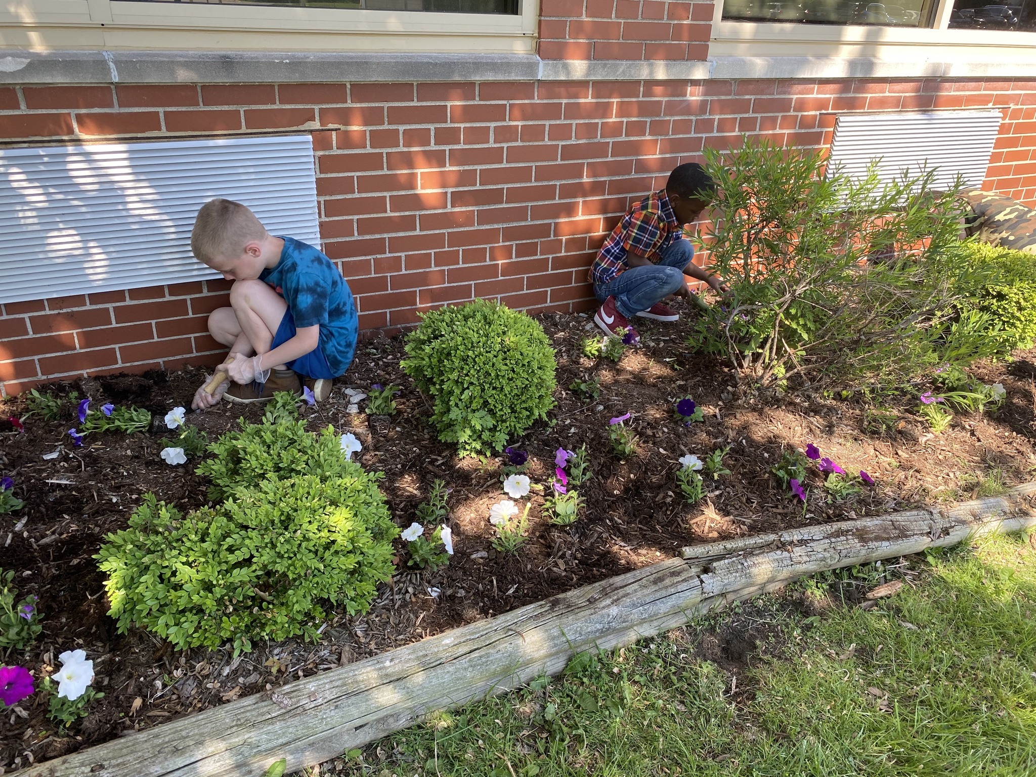 Boys plant flowers in front of Crescentwood