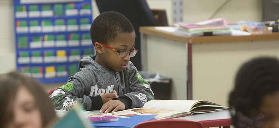 Boy reading picture book